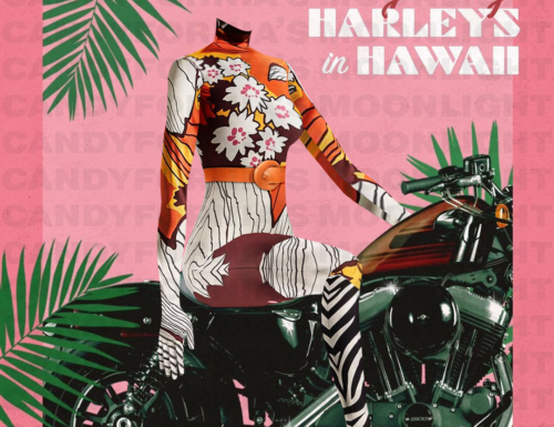 TS4 | Katy Perry | Harleys In Hawaii (Cover)